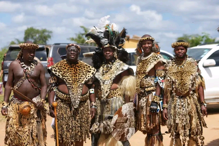 img 20260404 wa0124 img 20260404 wa0124